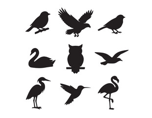 Obraz premium Diverse bird silhouettes vector collection, black avian animal shapes, various flying and perching bird icons, wildlife and nature graphic resources for design projects