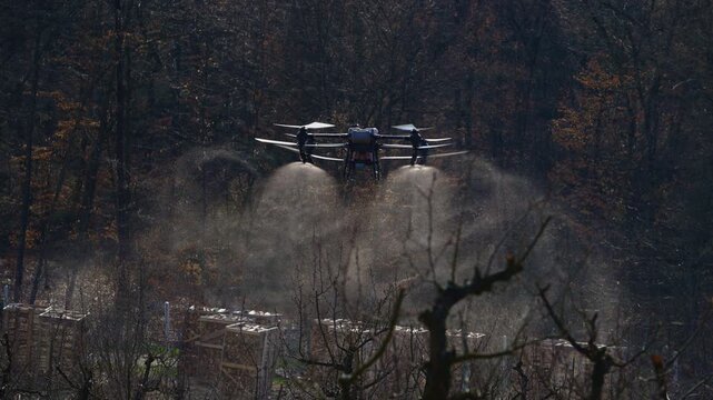 Agricultural Drone Sprays Crop Protection Mist Over Pruned Orchard Trees