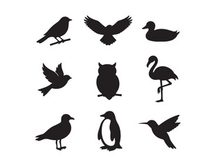 Fototapeta premium Diverse bird silhouette vector collection, nine distinct avian species, black minimalist animal icons, nature and wildlife graphic elements, perfect for branding and educational designs