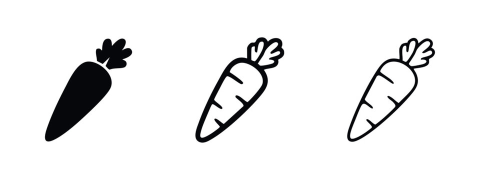 Fresh carrot vegetable icon set in three distinct styles, representing healthy eating, garden, or farm produce.