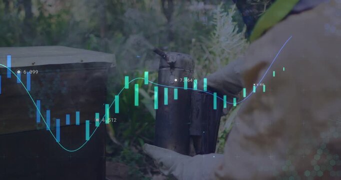 Senior beekeeper using bellows pulsing smoke at hive calming bees while finance chart overlaying