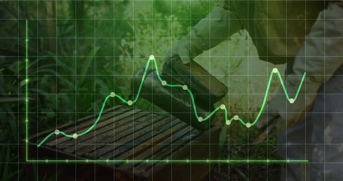 Vertical video: Beekeeper raising smoker and puffing over hive for frame check, green graph peaking