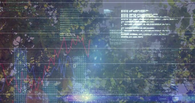 Tree canopy centering while glow rising sparking HUD charts moving code scrolling showing tech data