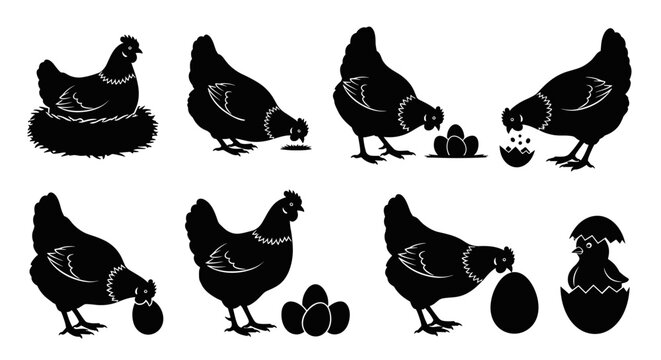 Black silhouettes of chickens and eggs.