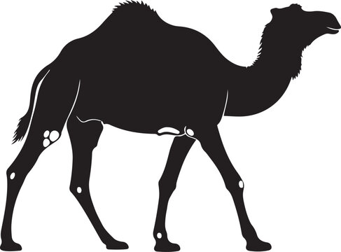 Black camel silhouette vector isolated on Transparent Background