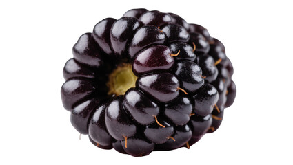Isolated fresh ripe dark purple-black berry with segmented texture, healthy and sweet fruit. © Agata