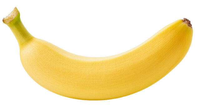 Isolated perfect fresh ripe yellow organic banana fruit for healthy eating and natural energy snack
