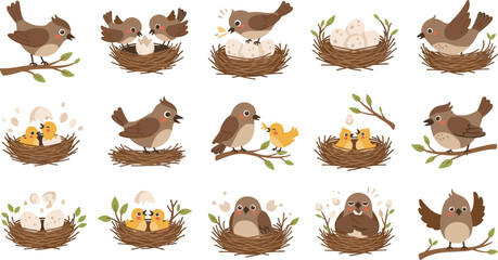 Cute Bird Nesting and Hatching Set with Chicks and Eggs Vector Illustration Collection © Ismail