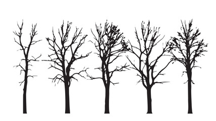 Fototapeta premium Vector Set of Deciduous Trees in Winter Silhouettes