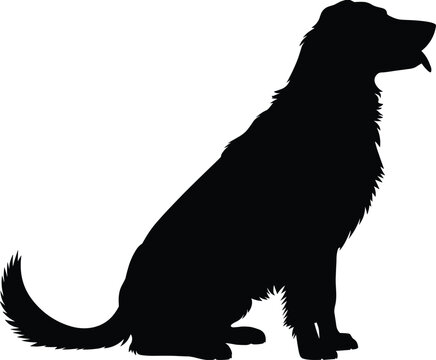 Dog silhouette sitting, furry pet outline, golden retriever style, animal figure design, domestic canine illustration, logo icon art reference