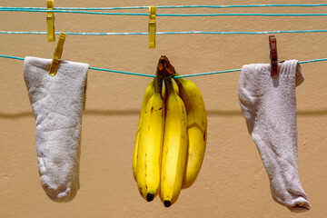 Chaussettes blanches et bananes sur un fil à linge © PPJ
