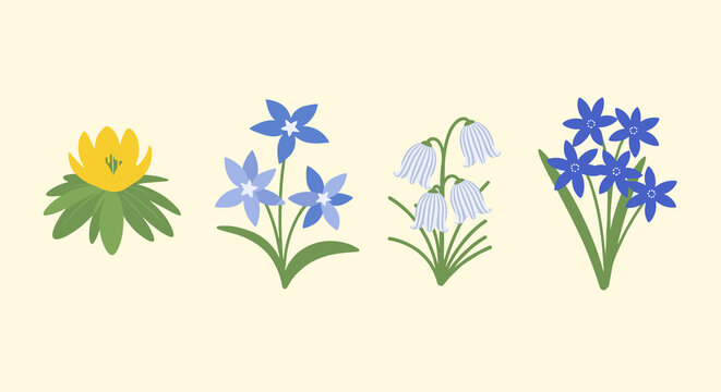 Four simple flat icons of Eranthis, Chionodoxa, Pushkinia, and Scilla flowers, concept of early spring floral design  