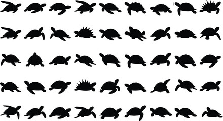 Fototapeta premium Large collection of sea turtle and tortoise silhouettes in various poses including swimming, crawling, and walking isolated on white background for graphic design.