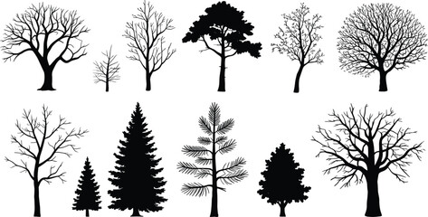 Tree silhouettes, deciduous branches, coniferous foliage, bare trees, evergreen design, botanical illustration, forest diversity, organic structure, landscape element, nature art © MdAriful