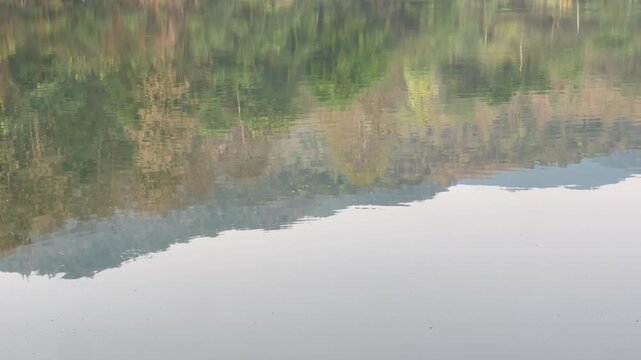 Water reflection lake at public park, stock footage