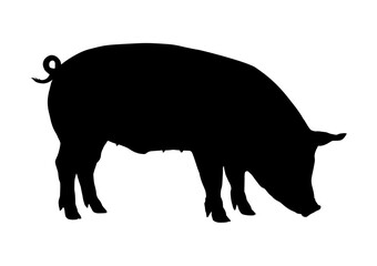 Pig silhouette eating isolated - ilustracja wektorowa © KR Studio