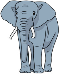 Fototapeta premium elephant illustration