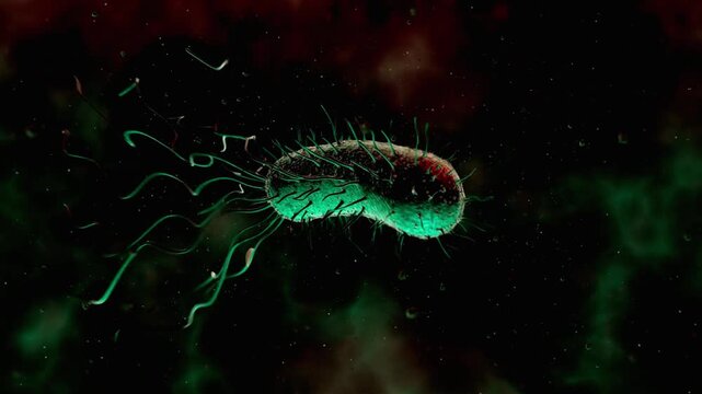 Escherichia coli bacteria cell with flagella and pili structures floating freely