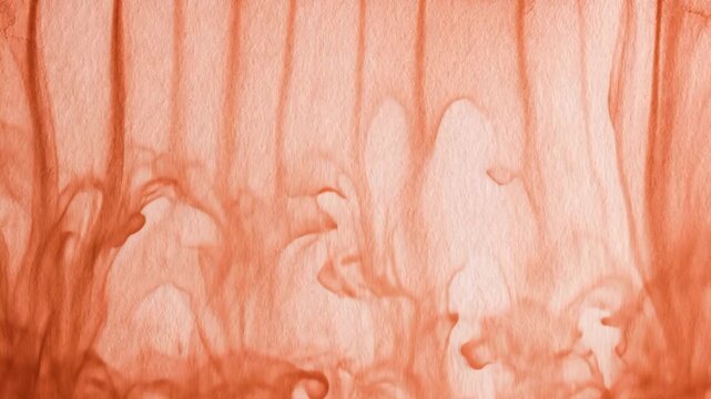 orange ink flowing in water creates abstract background. peach paint spreading vertically. fluid texture for motion design. creative art concept.