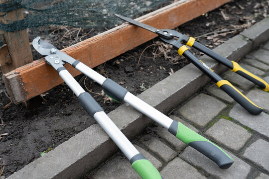 Garden loppers and hedge shears lying on a path near a garden bed.  Professional gardening tools for pruning trees and trimming bushes outdoors.