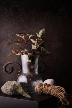 Still life botanico con vaso in vetro, foglie e materiali naturali su sfondo scuro