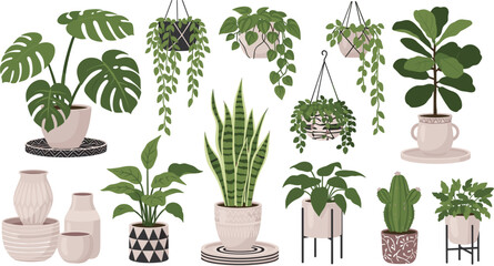 Indoor houseplants collection vector illustration with hanging plants, monstera, snake plant, cactus and modern home decor botanical set © Yevhenii creative