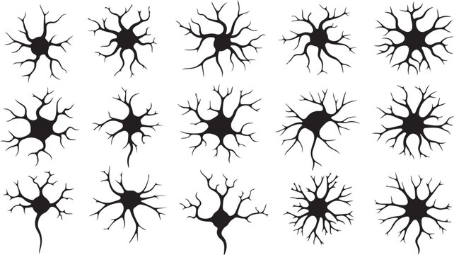 a collection of black neuron cell icons isolated on transparent background, Vector, illustration