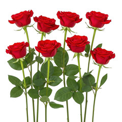 Naklejka premium A bouquet of red roses with green stems and leaves isolated on transparent background