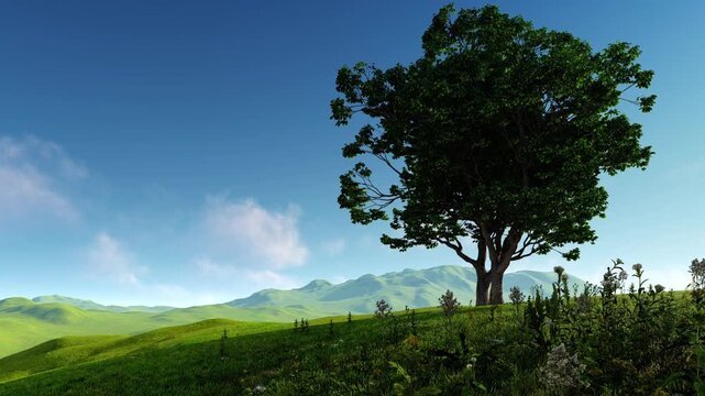 A lone tree on a hilltop. Illustration on the theme of nature and ecology, climate, and landscapes.
