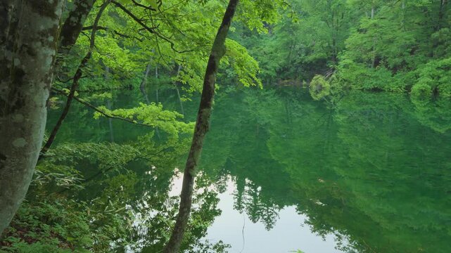 新潟県,津南町,龍ヶ窪,池,湧水,日本名水百選,龍神伝説