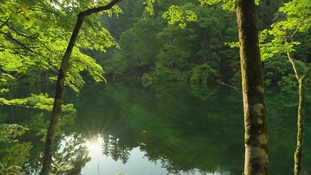 新潟県,津南町,龍ヶ窪,池,湧水,日本名水百選,龍神伝説