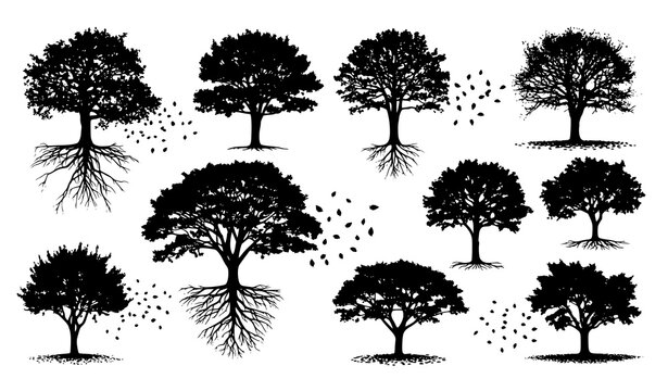 Natural tree silhouettes with roots and falling leaves vector in dynamic composition isolated on white