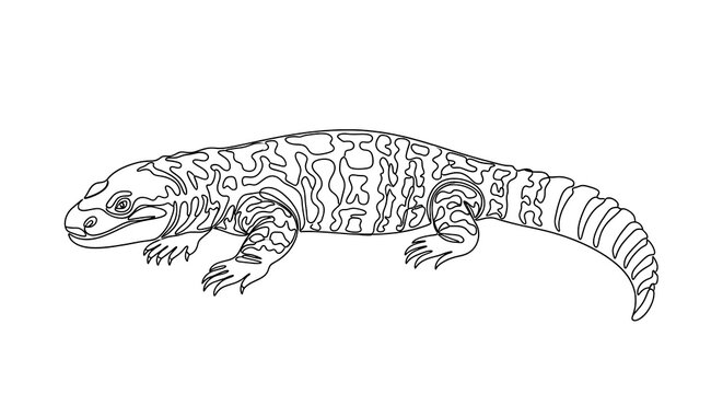 Detailed lizard illustration, black and white line art, reptile drawing, animal design element
