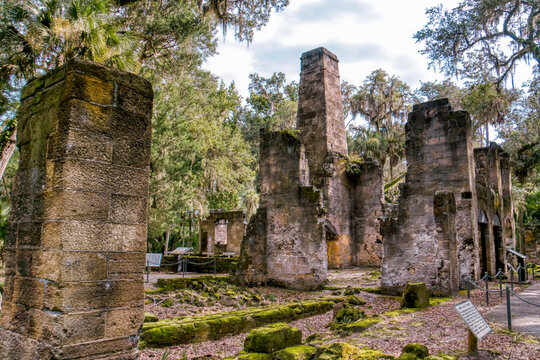 Ancient stone ruins stand tall amid lush forest