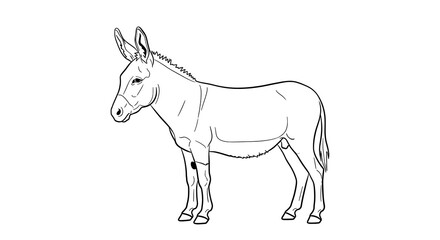 Obraz premium Donkey illustration, black line art, animal drawing, cartoon style