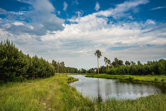 Forest retention pond surrounded by greenery during summer
