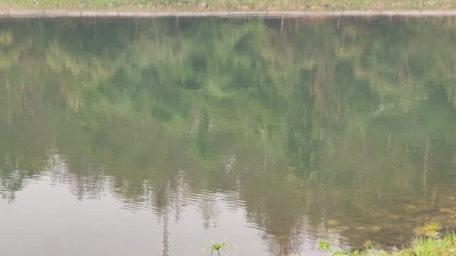 Water reflection lake at public park, stock footage