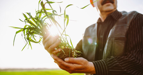 A farmer stands in a green field holding a young plant with both hands. The sun shines brightly as...