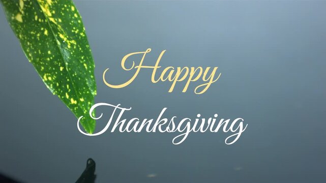 Animation of happy thanksgiving text over green leaf on grey background