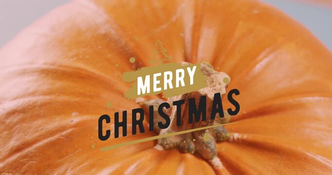 Animation of merry christmas text banner with christmas tree icon against close up of pumpkin