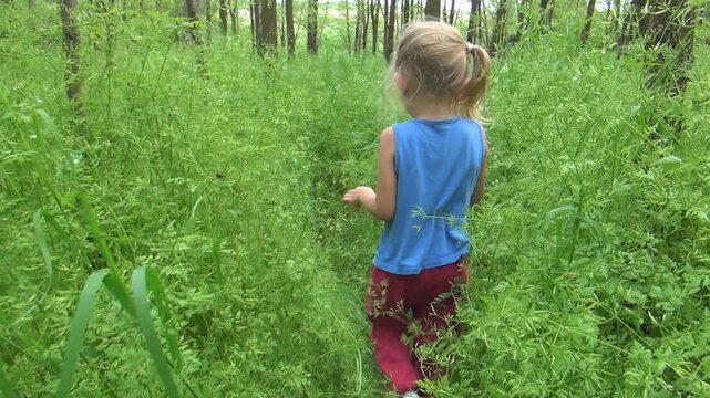 Child Walking in Forest, Girl Playing in Wood, Children in Nature
