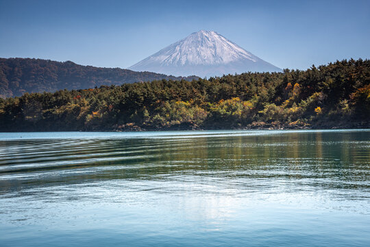 西湖に映る雪化粧の富士山と秋色の森林風景（山梨県富士河口湖町）
