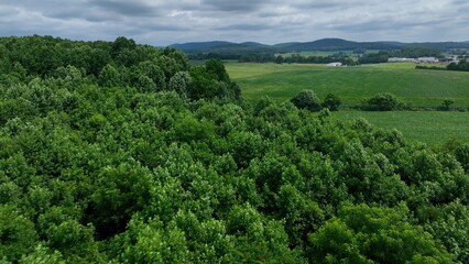 Fototapeta premium Beautiful Lush Green Landscape in Peaceful Rural Countryside