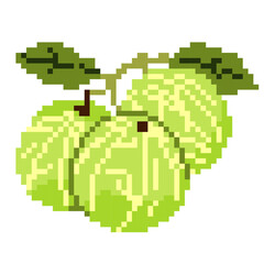 Obraz premium Pixel Art Gooseberry - Pixel Art Sample