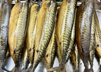 Obraz premium Rows of cold smoked mackerel on seller counter, golden oily skins glisten under warm lighting, fishmonger arranges fillets