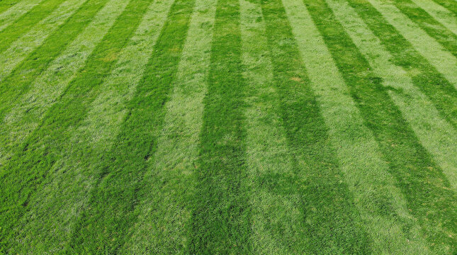 Freshly mowed green grass lawn with distinct diagonal mowing stripes showing a manicured outdoor surface for recreation and sports