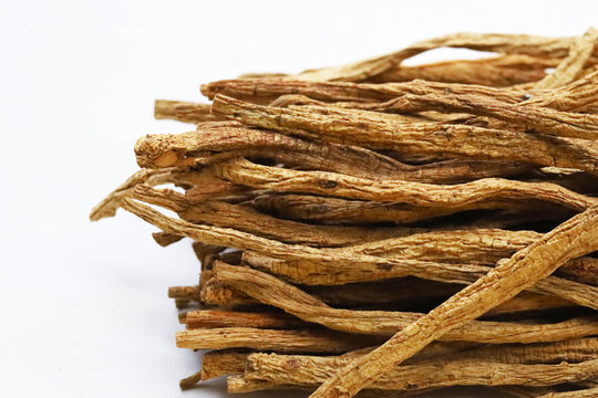 Dried brown Codonopsis root sticks used in Chinese herbal medicine.