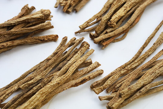 Dried brown Codonopsis root sticks used in Chinese herbal medicine.