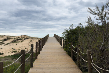 Fototapeta premium Sturdy wooden stairs rise from the sandy beach, surrounded by tall grasses, leading to the top of the dune under a cloudy afternoon sky. The scene is calm and inviting.