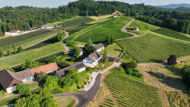 Aerial footage shows winding roads crossing Styria vineyards on steep hills, warm sunset colors shaping soft curves of land, peaceful movement, quiet atmosphere of summer wine region.